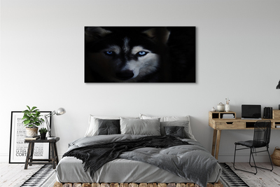 Quadro su tela Eyes Wolf