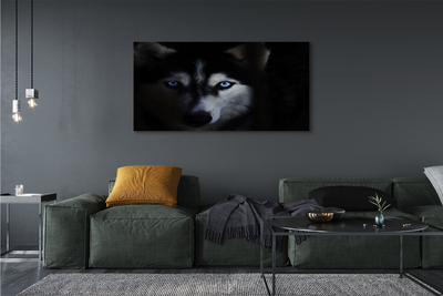 Quadro su tela Eyes Wolf