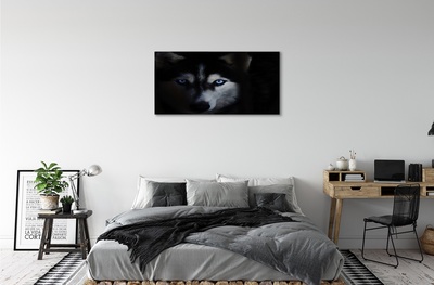 Quadro su tela Eyes Wolf