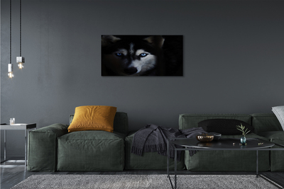 Quadro su tela Eyes Wolf