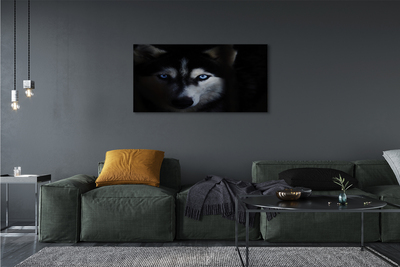 Quadro su tela Eyes Wolf