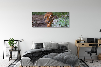 Quadro stampa su tela Foresta di tigre