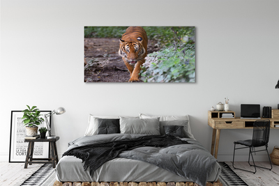 Quadro stampa su tela Foresta di tigre