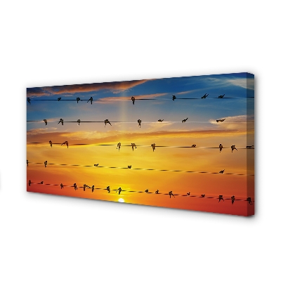 Quadro su tela Uccelli sul tramonto delle corde
