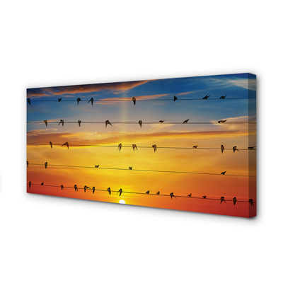 Quadro su tela Uccelli sul tramonto delle corde