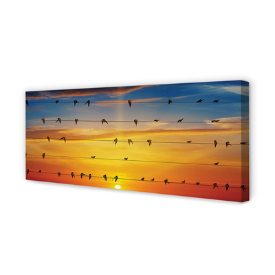 Quadro su tela Uccelli sul tramonto delle corde