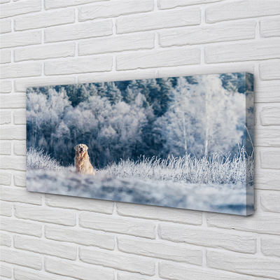 Quadro su tela Dog Mountain Winter