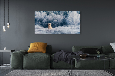 Quadro su tela Dog Mountain Winter