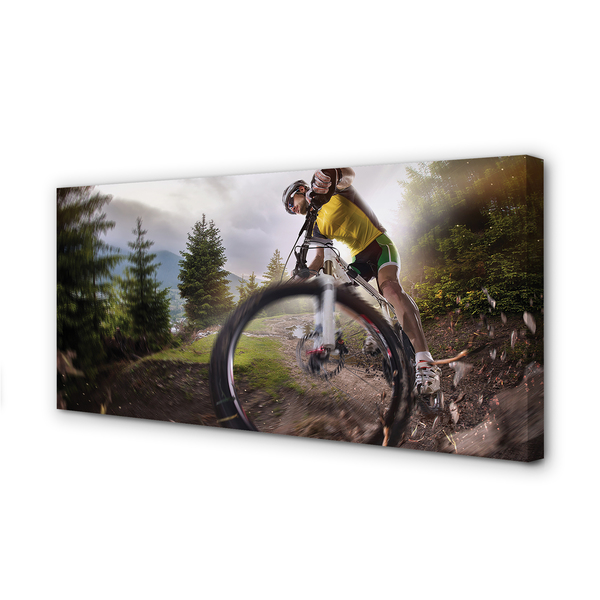 Quadro su tela Nuvole di mountain bike