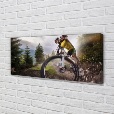 Quadro su tela Nuvole di mountain bike