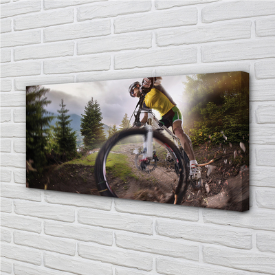 Quadro su tela Nuvole di mountain bike