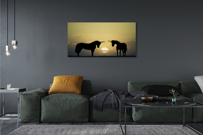 Quadro su tela Sunness Field of unicorns