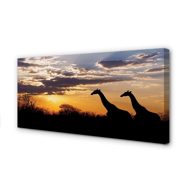 Quadro su tela Cloud Trees Giraffe