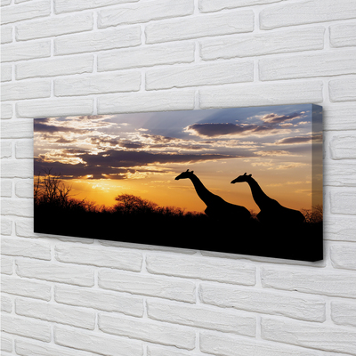 Quadro su tela Cloud Trees Giraffe