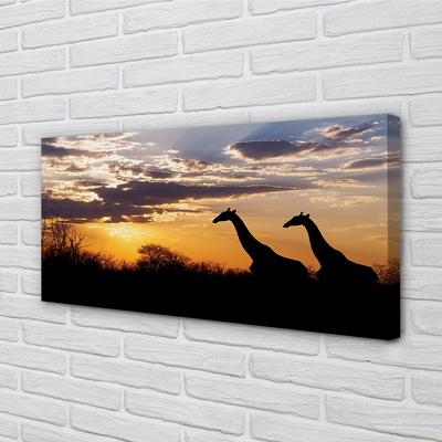 Quadro su tela Cloud Trees Giraffe