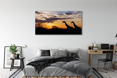 Quadro su tela Cloud Trees Giraffe