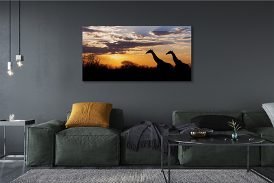 Quadro su tela Cloud Trees Giraffe