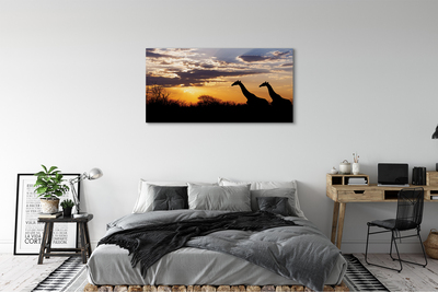 Quadro su tela Cloud Trees Giraffe