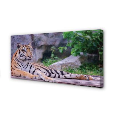 Quadro su tela Tigre nello zoo
