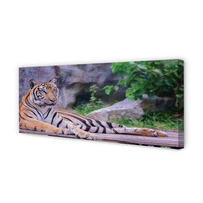 Quadro su tela Tigre nello zoo