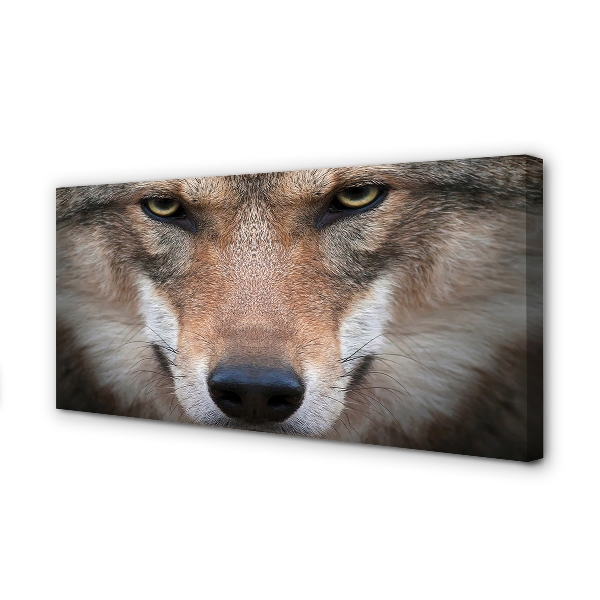 Quadro su tela Eyes Wolf