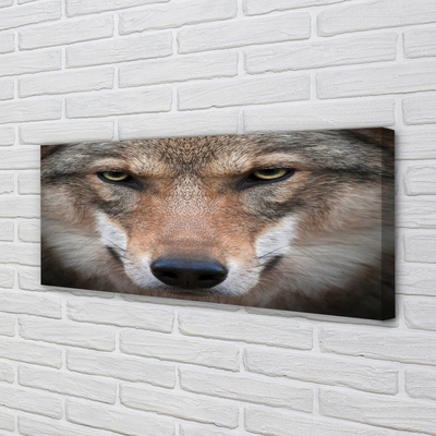 Quadro su tela Eyes Wolf