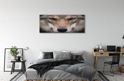 Quadro su tela Eyes Wolf