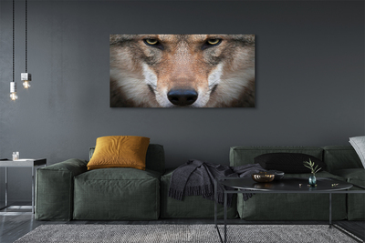 Quadro su tela Eyes Wolf