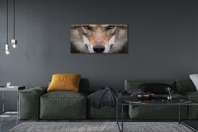 Quadro su tela Eyes Wolf