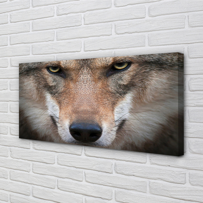 Quadro su tela Eyes Wolf