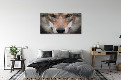 Quadro su tela Eyes Wolf