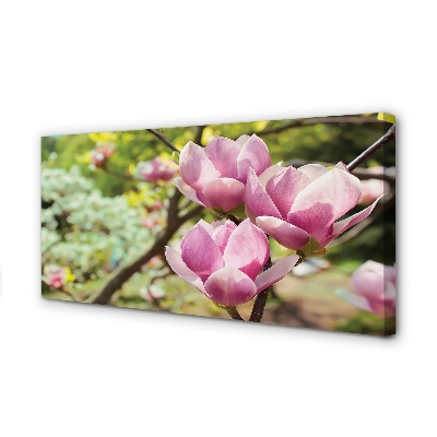 Quadro su tela Alberi magnolia
