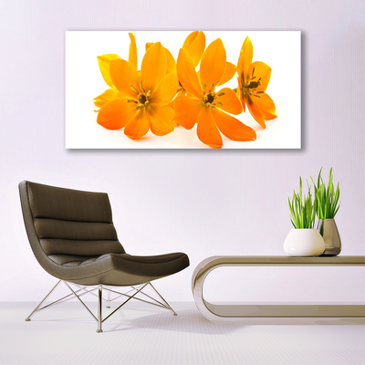 Quadro su tela Fiori di piante arancioni