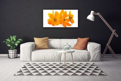 Quadro su tela Fiori di piante arancioni