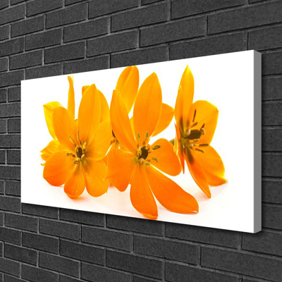 Quadro su tela Fiori di piante arancioni