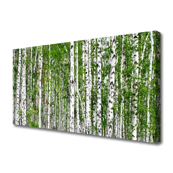 Quadro su tela Natura degli alberi della foresta di betulle