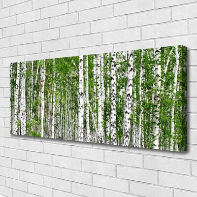 Quadro su tela Natura degli alberi della foresta di betulle