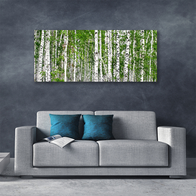 Quadro su tela Natura degli alberi della foresta di betulle