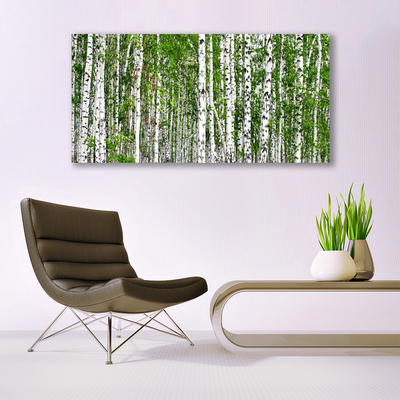 Quadro su tela Natura degli alberi della foresta di betulle