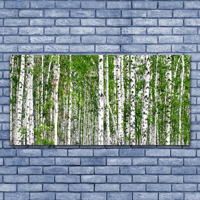 Quadro su tela Natura degli alberi della foresta di betulle