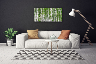 Quadro su tela Natura degli alberi della foresta di betulle