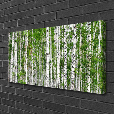 Quadro su tela Natura degli alberi della foresta di betulle