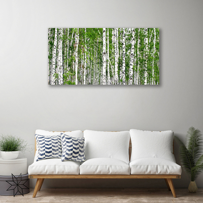 Quadro su tela Natura degli alberi della foresta di betulle