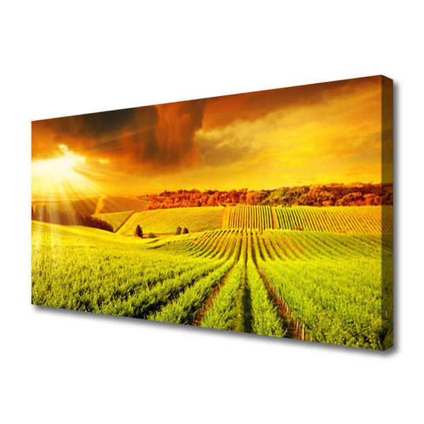 Quadro su tela Paesaggio del campo al tramonto