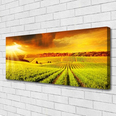 Quadro su tela Paesaggio del campo al tramonto