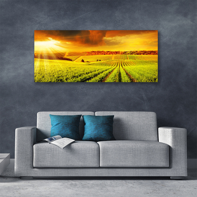 Quadro su tela Paesaggio del campo al tramonto