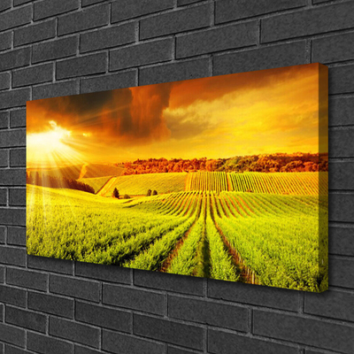 Quadro su tela Paesaggio del campo al tramonto