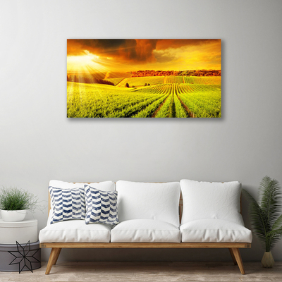 Quadro su tela Paesaggio del campo al tramonto