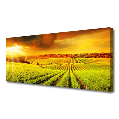 Quadro su tela Paesaggio del campo al tramonto