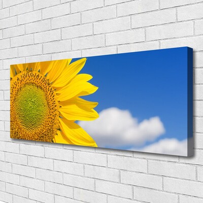 Foto quadro su tela Nuvole del cielo del girasole